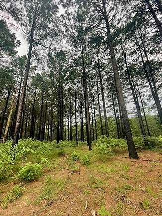 1.114 Acres of Residential Land for Sale in Broken Bow, Oklahoma