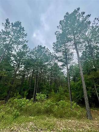 1.168 Acres of Residential Land for Sale in Broken Bow, Oklahoma