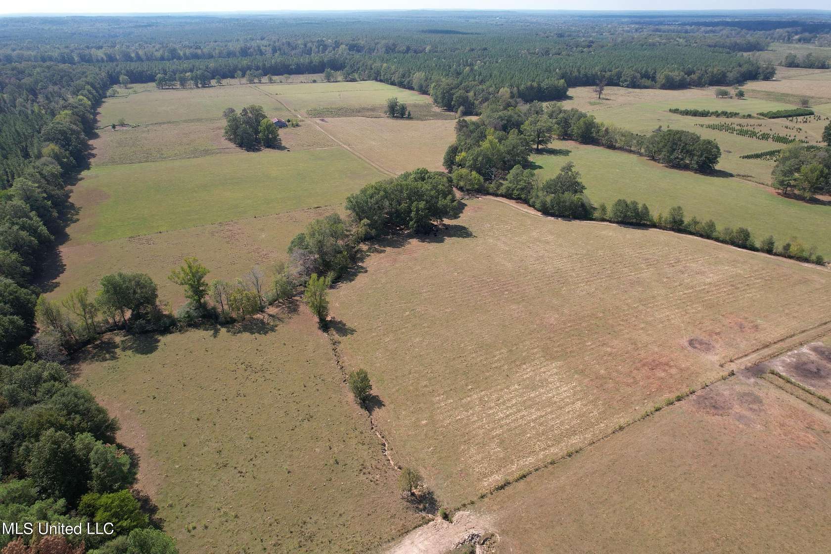 99.5 Acres of Agricultural Land for Sale in Pelahatchie, Mississippi