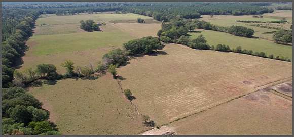 99.5 Acres of Recreational Land for Sale in Pelahatchie, Mississippi