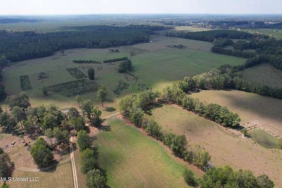 331 Acres of Agricultural Land for Sale in Pelahatchie, Mississippi
