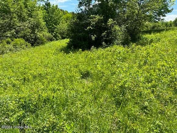 10 Acres of Recreational Land for Sale in Broome Town, New York