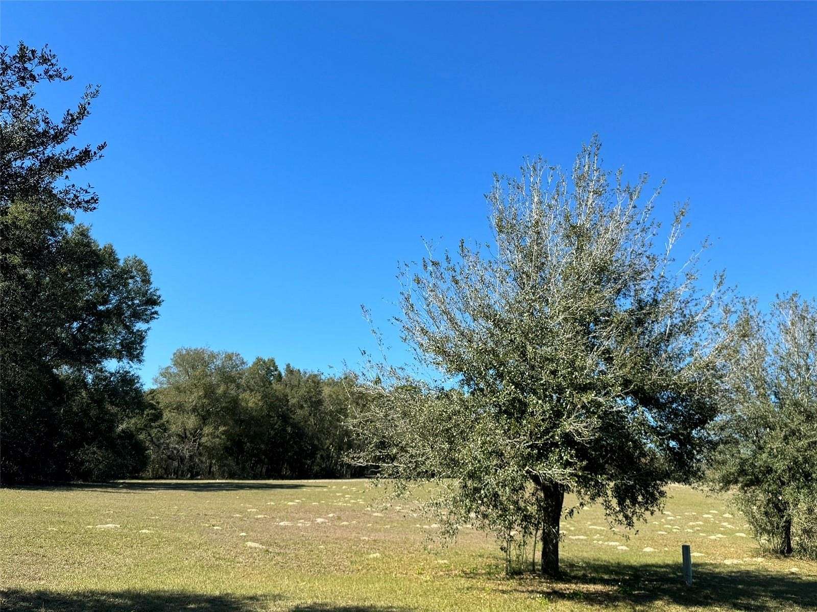 2 Acres of Residential Land for Sale in Hernando, Florida