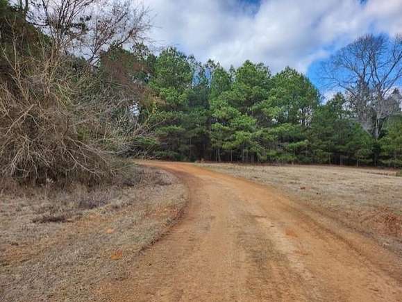 3.3 Acres of Land for Sale in Winona, Texas