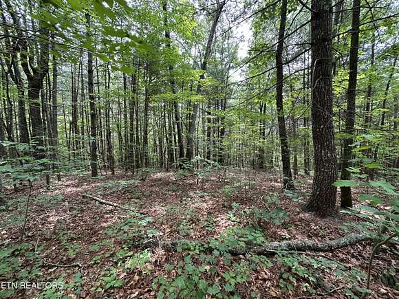 11.7 Acres of Recreational Land for Sale in Tellico Plains, Tennessee