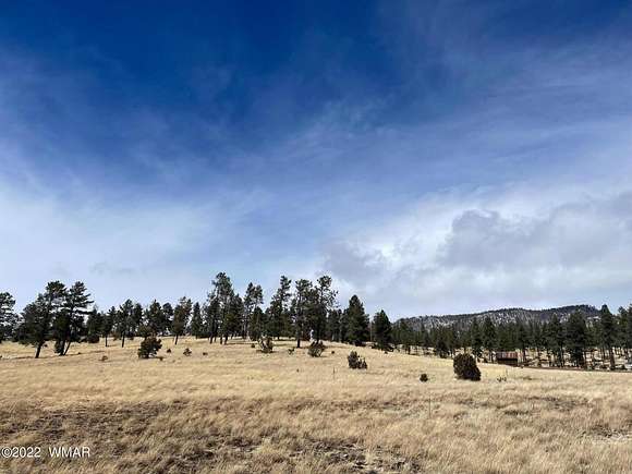 1.36 Acres of Residential Land for Sale in Alpine, Arizona