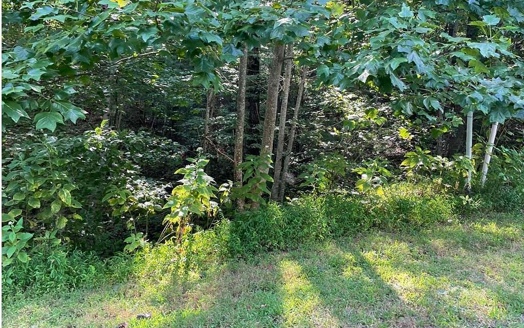 0.75 Acres of Land for Sale in Ellijay, Georgia