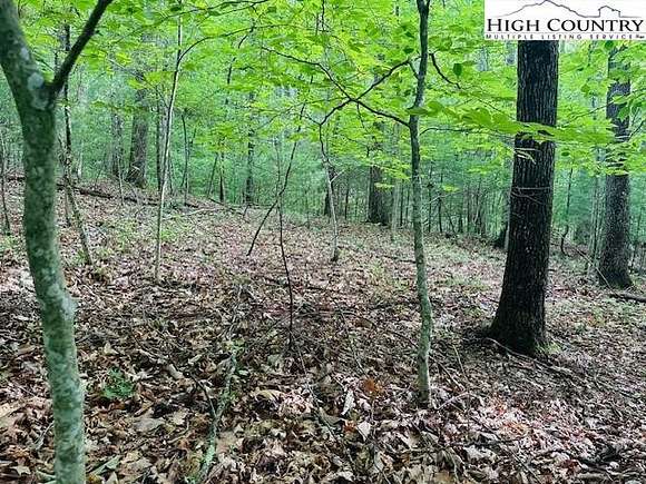 1 Acre of Residential Land for Sale in Lansing, North Carolina