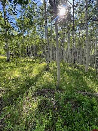 4.036 Acres of Residential Land for Sale in Cimarron, Colorado