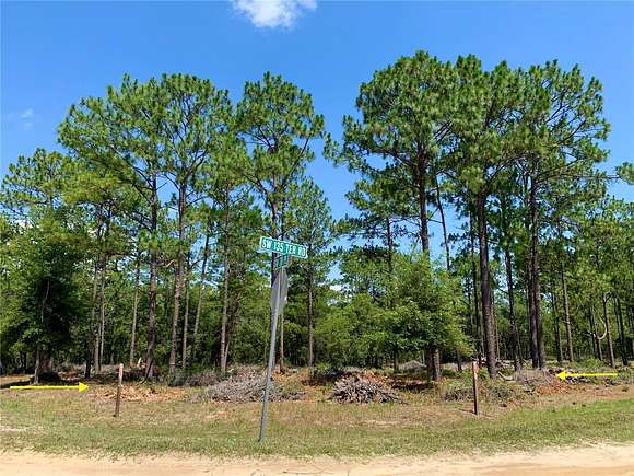 1 Acre of Residential Land for Sale in Dunnellon, Florida