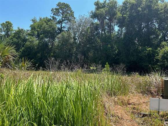 0.11 Acres of Residential Land for Sale in Crescent City, Florida