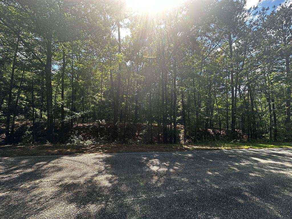 1.7 Acres of Commercial Land for Sale in Box Springs, Georgia