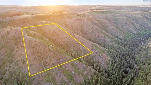 10 Acres of Recreational Land for Sale in Pomeroy, Washington