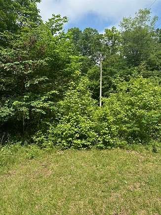 17.75 Acres of Land for Sale in Morgantown, Kentucky