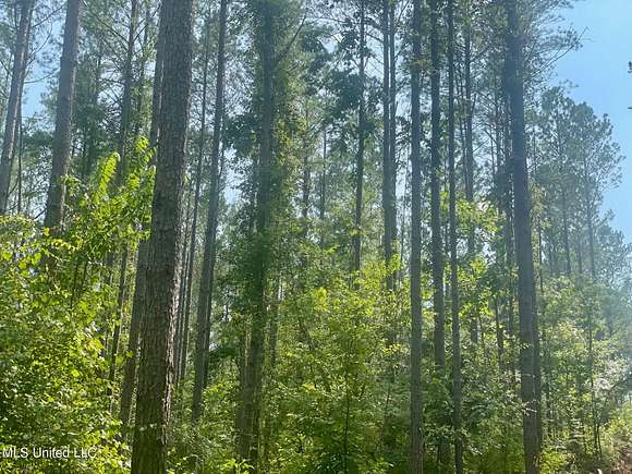 41 Acres of Recreational Land for Sale in Eupora, Mississippi