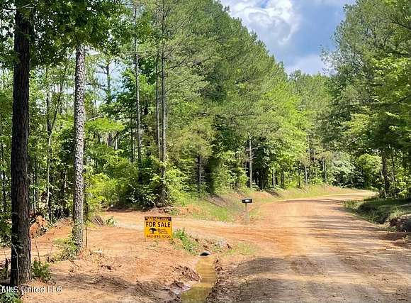 41 Acres of Recreational Land for Sale in Eupora, Mississippi