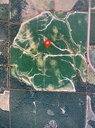 235 Acres of Agricultural Land for Sale in Jakin, Georgia