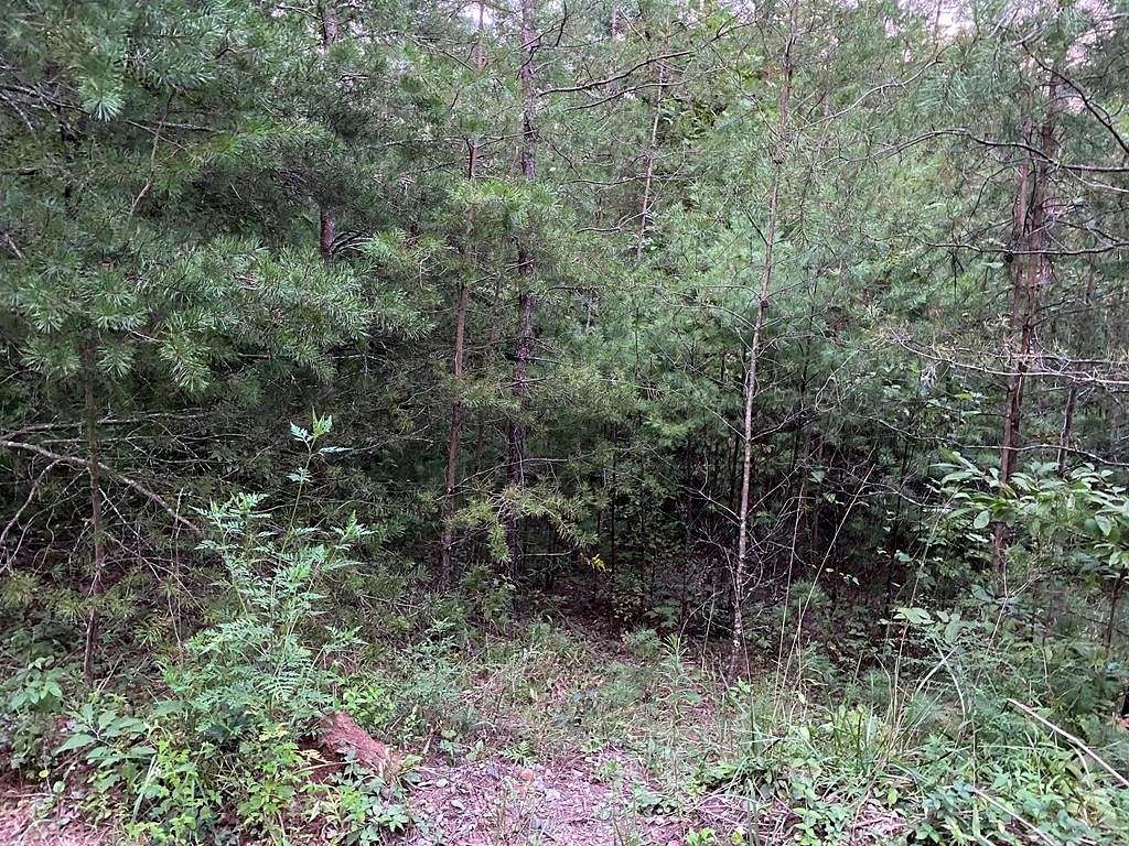 3.57 Acres of Residential Land for Sale in Ellijay, Georgia