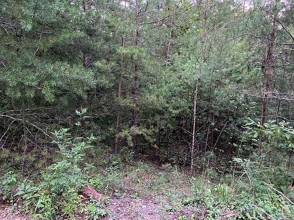 3.57 Acres of Residential Land for Sale in Ellijay, Georgia