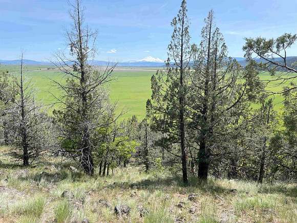 20 Acres of Land for Sale in Macdoel, California