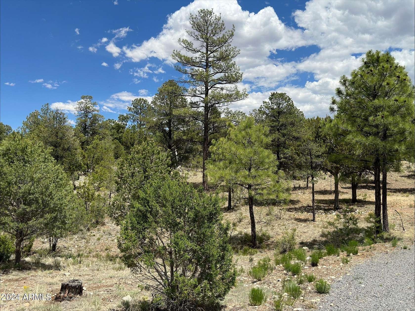 1.26 Acres of Residential Land for Sale in Heber, Arizona