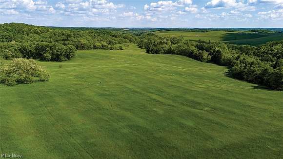 59.107 Acres of Recreational Land for Auction in Rogers, Ohio
