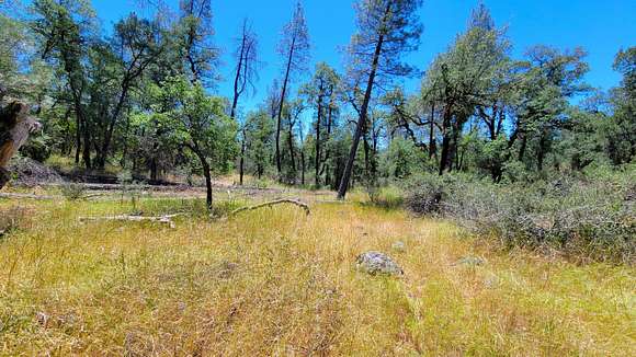 19.6 Acres of Land for Sale in Bella Vista, California