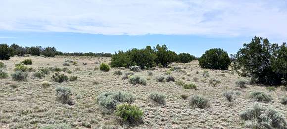 1.24 Acres of Residential Land for Sale in Sanders, Arizona