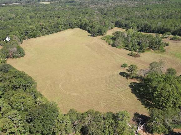 19.9 Acres of Land for Sale in McComb, Mississippi