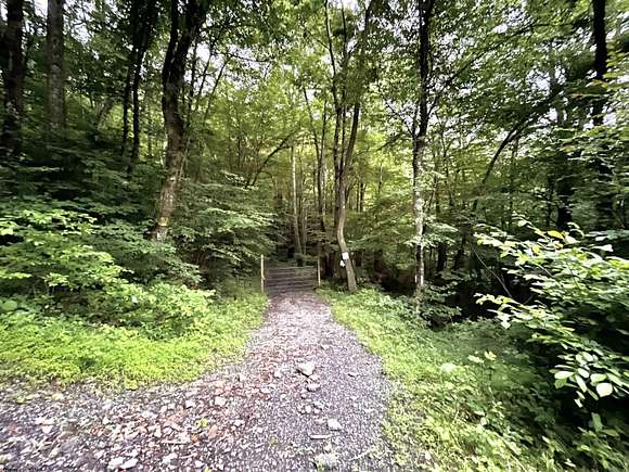 4.5 Acres of Residential Land for Sale in Tunnelton, West Virginia