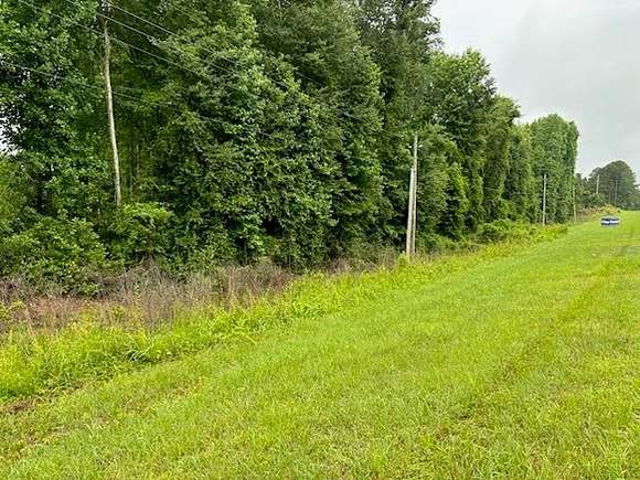 17 Acres of Land for Sale in Wallace, South Carolina