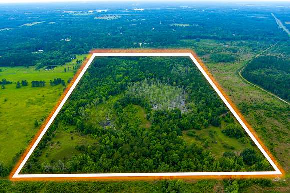 84 Acres of Recreational Land & Farm for Sale in Lake City, Florida