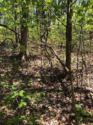 0.51 Acres of Land for Sale in Austin, Kentucky