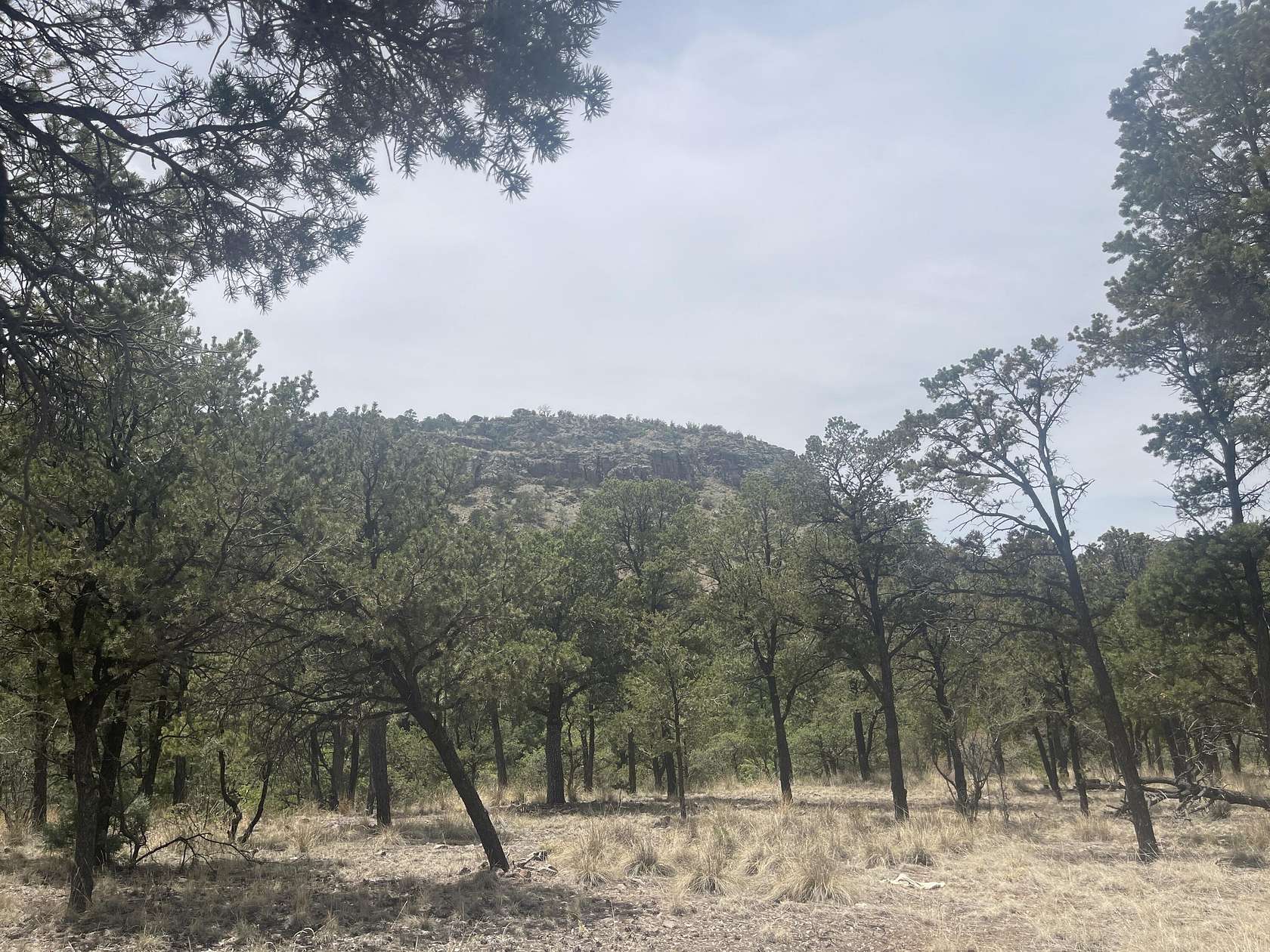 1.58 Acres of Land for Sale in Magdalena, New Mexico