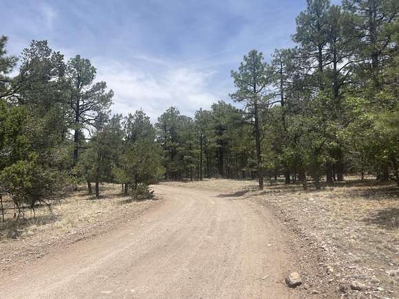 1.6 Acres of Land for Sale in Magdalena, New Mexico