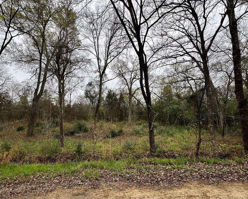 0.11 Acres of Residential Land for Sale in Mabank, Texas