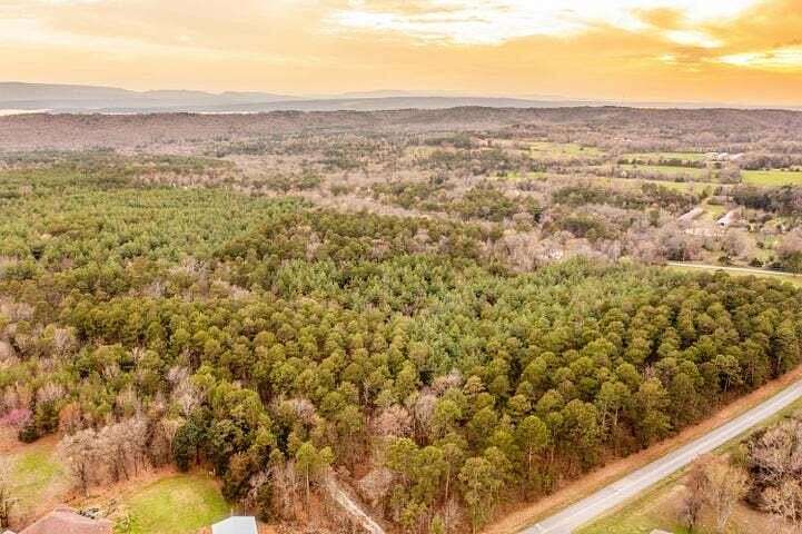 40 Acres of Land for Sale in Russellville, Arkansas