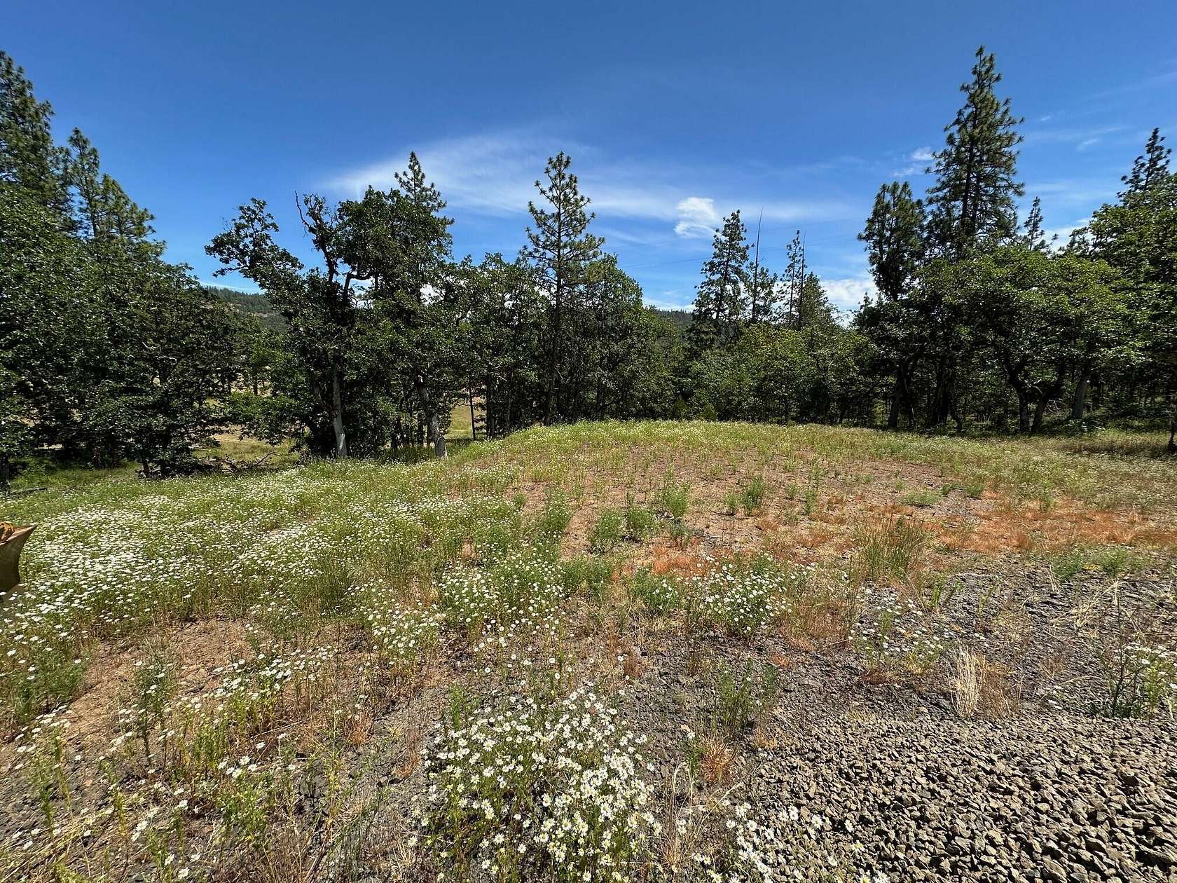 0.56 Acres of Residential Land for Sale in Shady Cove, Oregon