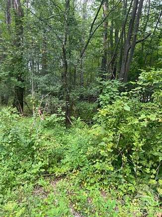 0.295 Acres of Land for Sale in Athens, New York