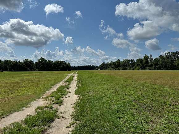 50 Acres of Land for Sale in Ashford, Alabama