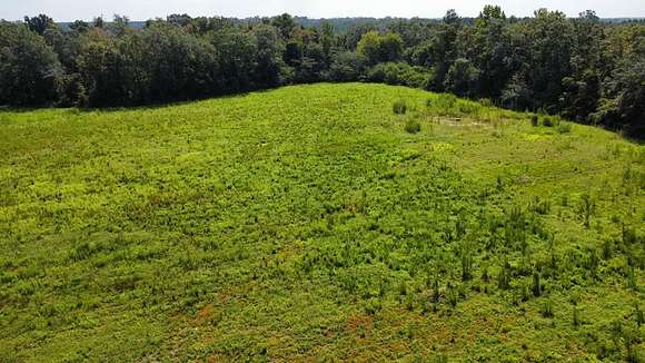 50 Acres of Land for Sale in Ashford, Alabama