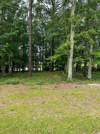 0.77 Acres of Residential Land for Sale in Chancellor, Alabama
