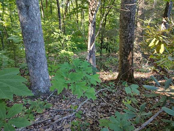 0.25 Acres of Residential Land for Sale in Pigeon Forge, Tennessee