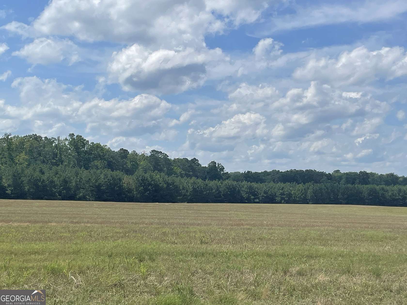 151 Acres of Land for Sale in Sharpsburg, Georgia