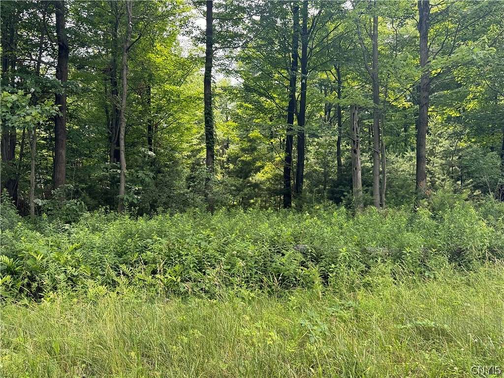 0.78 Acres of Residential Land for Sale in Le Ray Town, New York