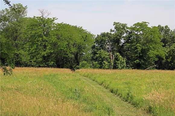 20 Acres of Land for Sale in Freeman, Missouri