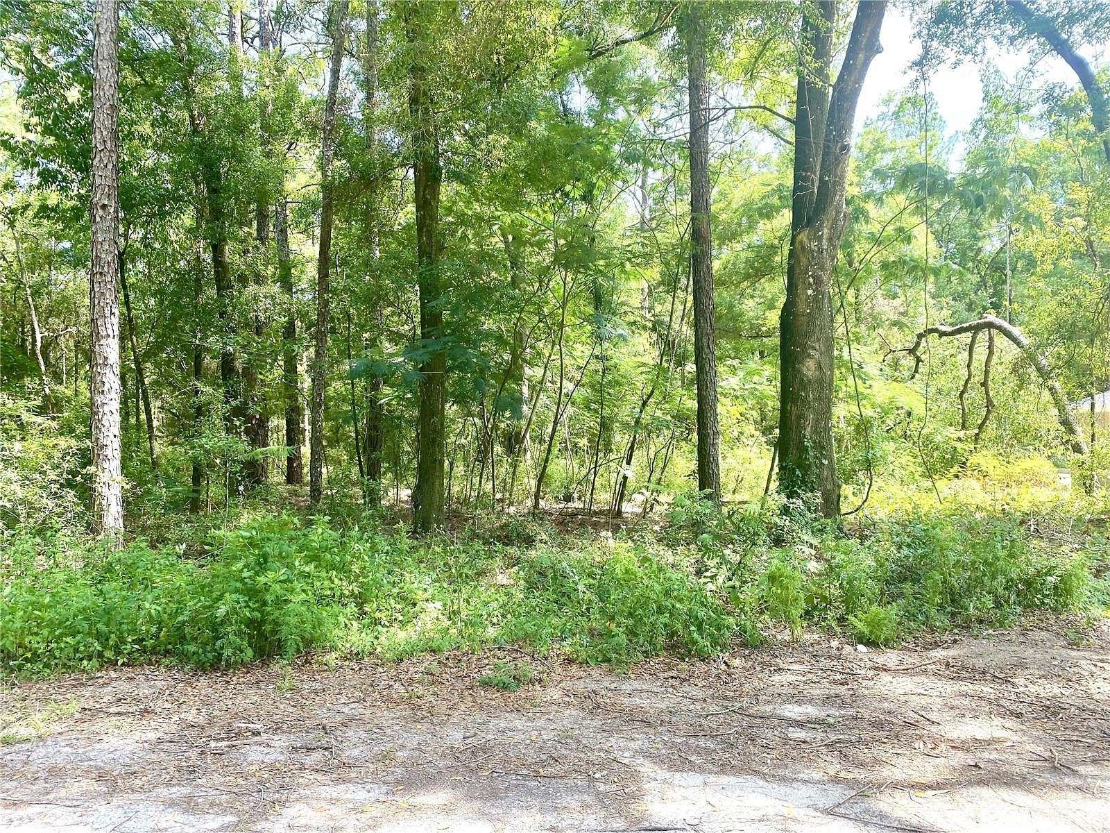 0.23 Acres of Residential Land for Sale in Ocala, Florida