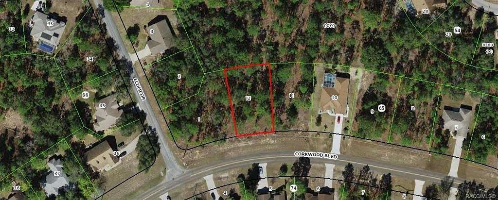 0.31 Acres of Residential Land for Sale in Homosassa, Florida