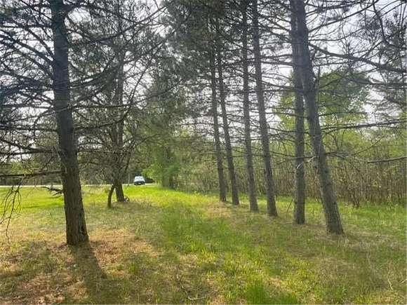 29.1 Acres of Recreational Land for Sale in Cook, Minnesota