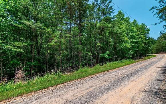 3.35 Acres of Residential Land for Sale in Mineral Bluff, Georgia